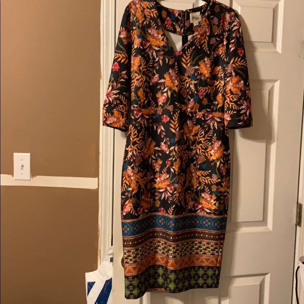 Multi Color Fitted Dress